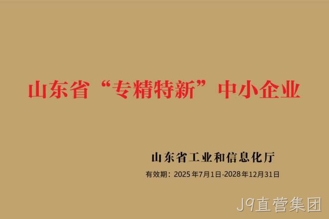山东省专精特新中小企业.