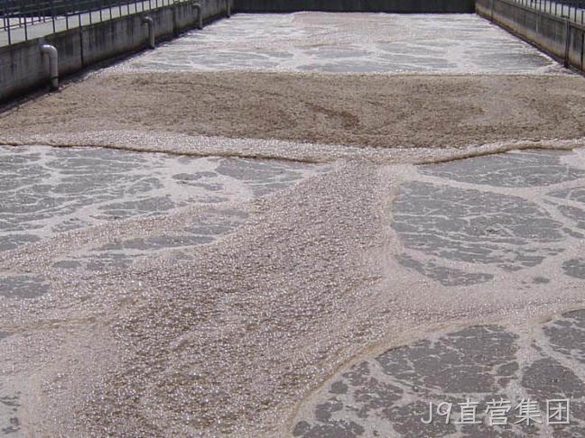 好氧池中常见的污泥问题及解决方法