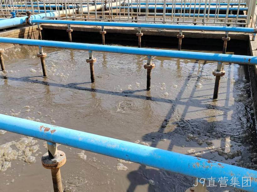 高浓度有机废水该如何处理？